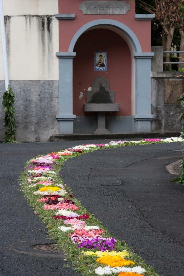 Antonella Home Funchal Kültér fotó